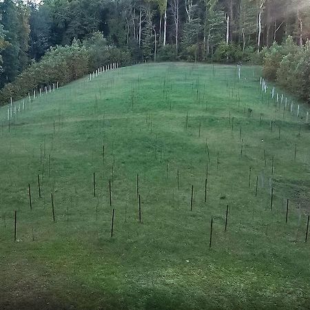 40 Acres W/Waterfalls, Vineyard, Stream, 5 Bedroom Moravian Falls Zewnętrze zdjęcie